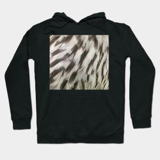 Feathers of a female Red Winged Blackbird Hoodie